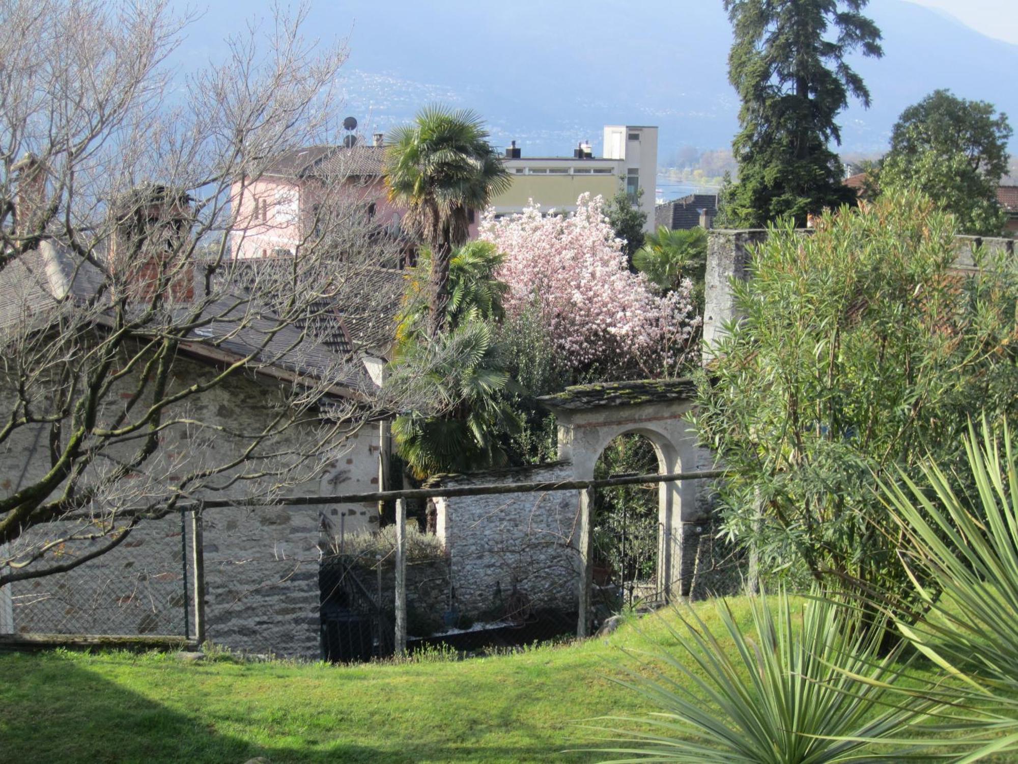 Muralto-Locarno: Miramonti Apt. 8 外观 照片